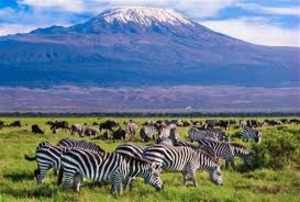 Crowned by Mount Kilimanjaro